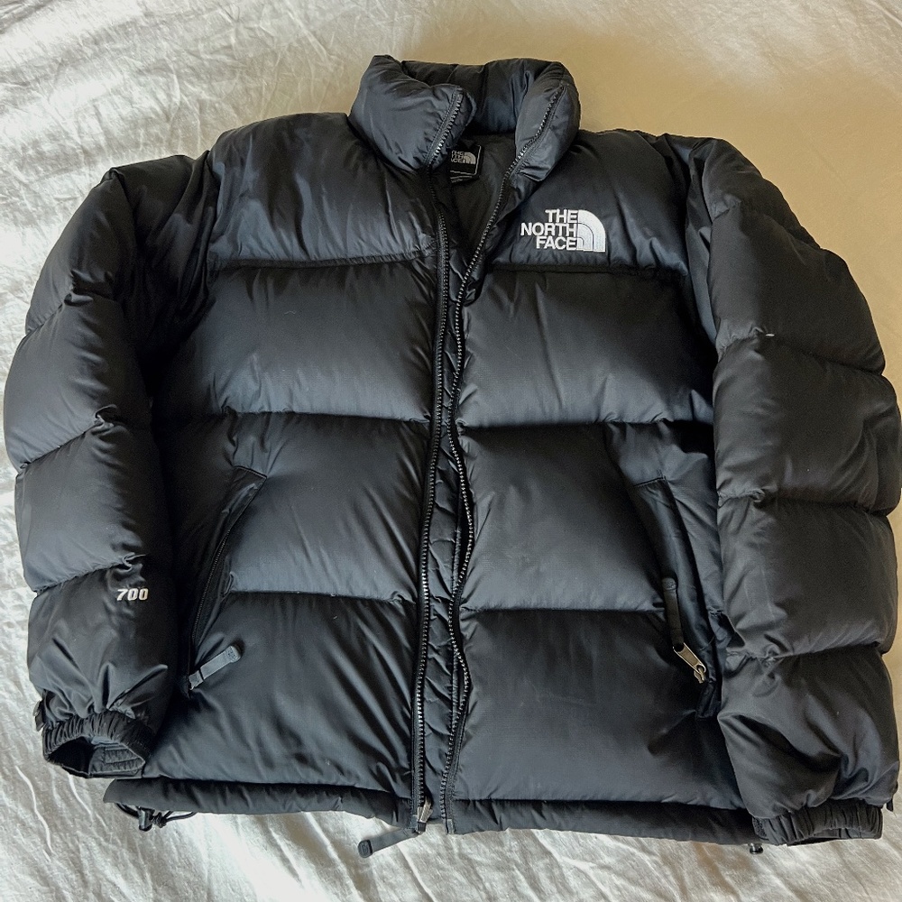 The North Face 700 fill Down Jacket (medium)
